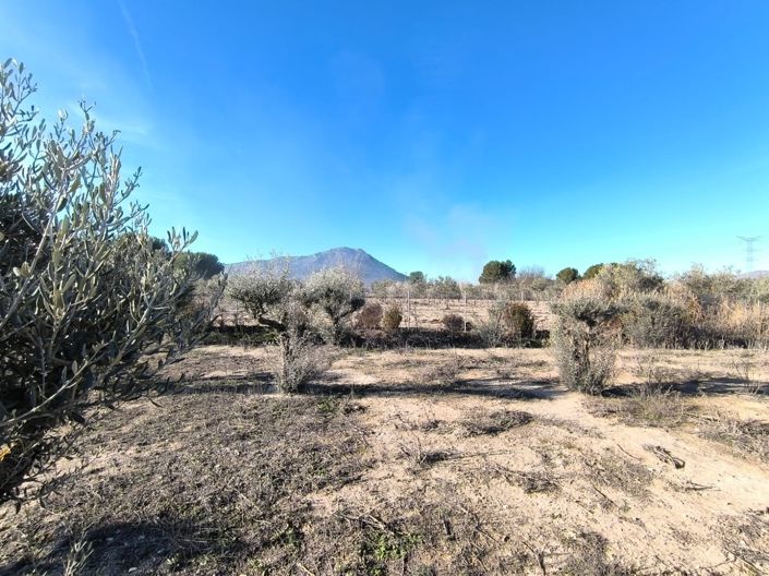 Image No.35-4 Bed Villa for sale