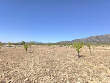 o1jga8rqms1fqs1mf11j5g78i81i