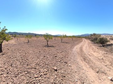 o1jga8rqms58rppn1dd010eu16ut1g