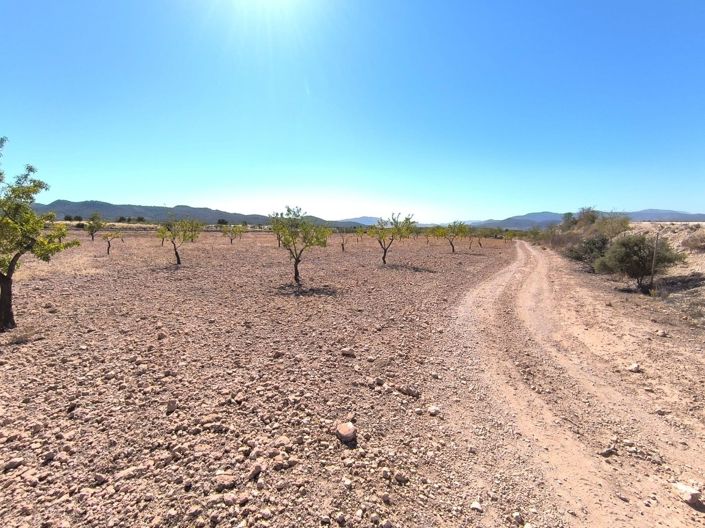 Image No.4-Land for sale