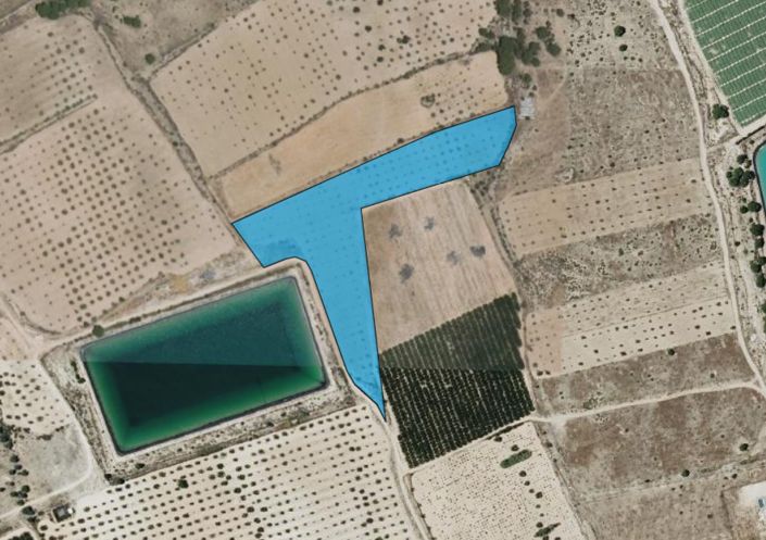 Image No.5-Terre à vendre à Monóvar