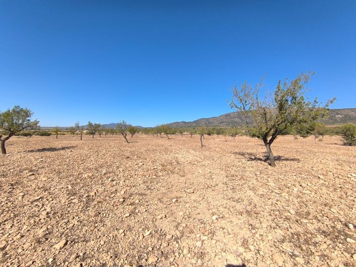 Image No.2-Land for sale