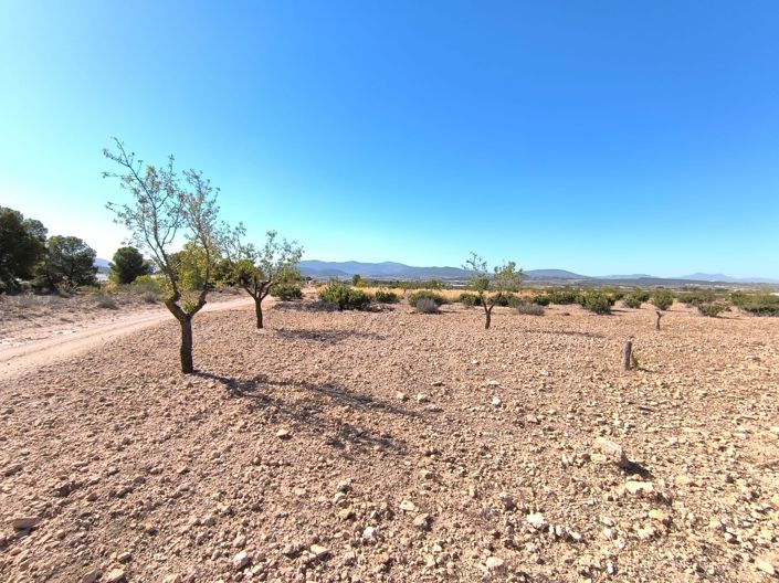 Image No.3-Land for sale