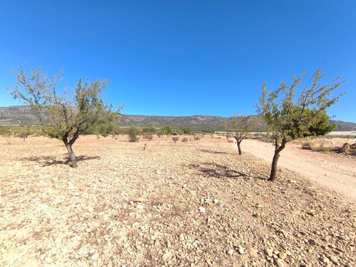 Image No.4-Land for sale