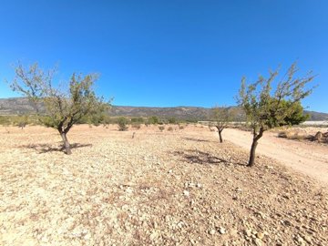 o1jga8d6sf1u8v3lrsddfds1hj21i