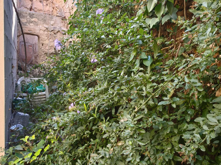 Image No.25-Maison de campagne de 3 chambres à vendre à Monóvar