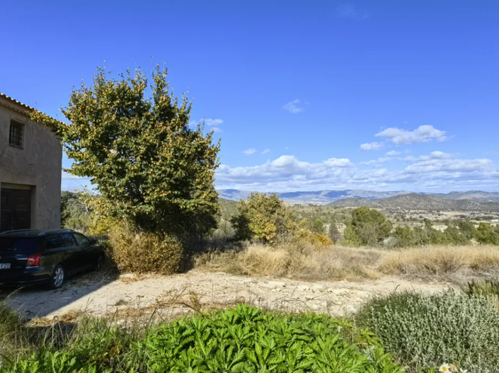 Image No.3-Maison de campagne de 3 chambres à vendre à Monóvar