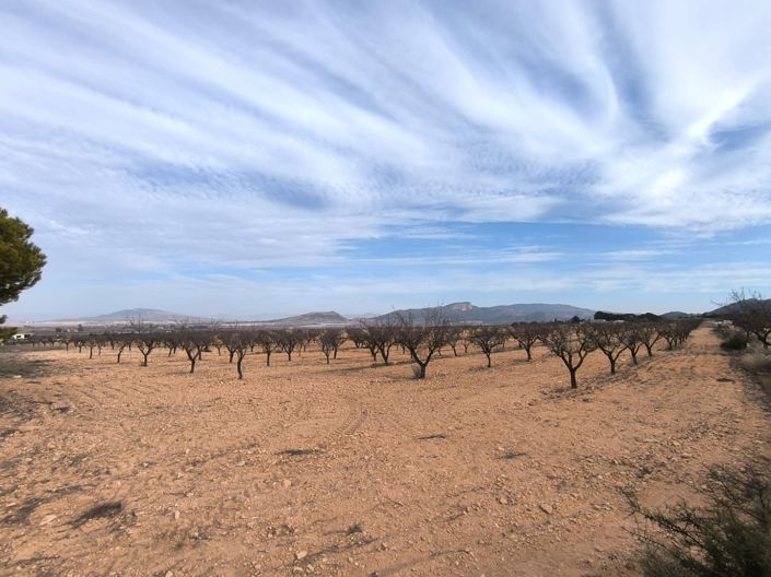 Image No.17-Propriété de 3 chambres à vendre à Monóvar