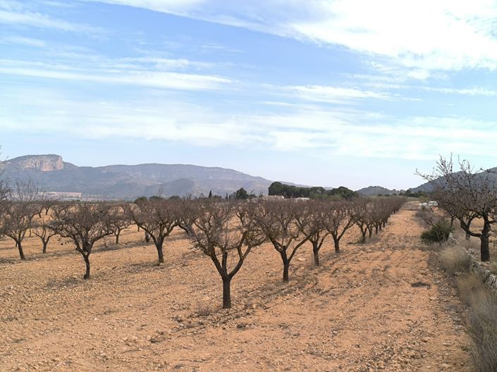 Image No.19-Propriété de 3 chambres à vendre à Monóvar