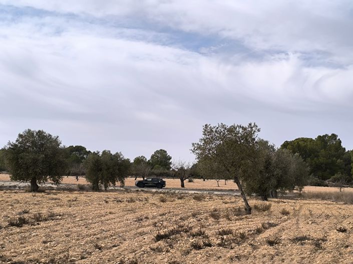 Image No.12-Propriété de 3 chambres à vendre à Monóvar