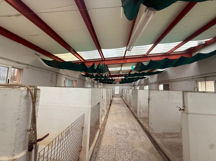 Image No.24-4 Bed Villa for sale