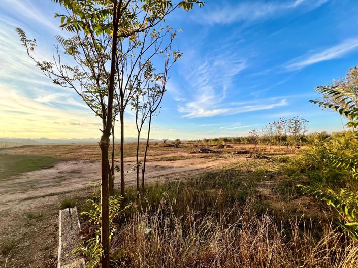 Image No.3-Maison de campagne de 4 chambres à vendre à Alicante