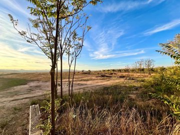 o1jb2lb28s1febqgkgkpurr1vth5e