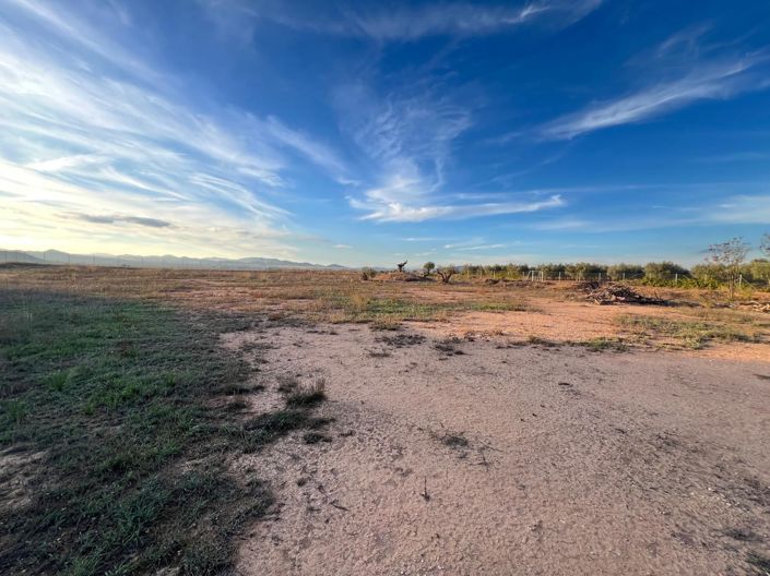 Image No.36-Maison de campagne de 4 chambres à vendre à Alicante