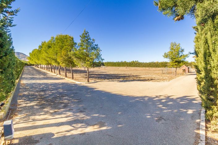 Image No.34-Villa de 7 chambres à vendre à Yecla