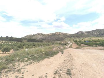 d698cd0f57ce39698cd0f57ce80