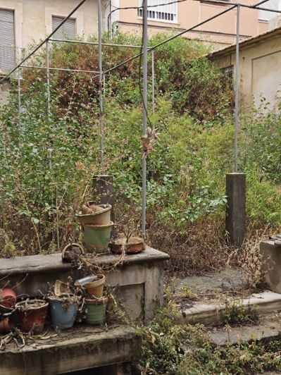 Image No.28-Propriété de 12 chambres à vendre à Monóvar