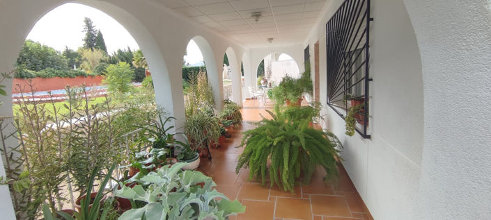 Image No.27-Villa de 4 chambres à vendre à Sax