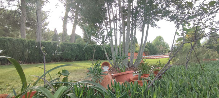 Image No.36-Villa de 4 chambres à vendre à Sax