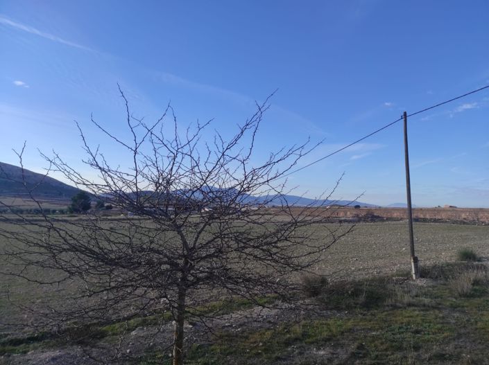 Image No.46-Maison de campagne de 4 chambres à vendre à Alicante