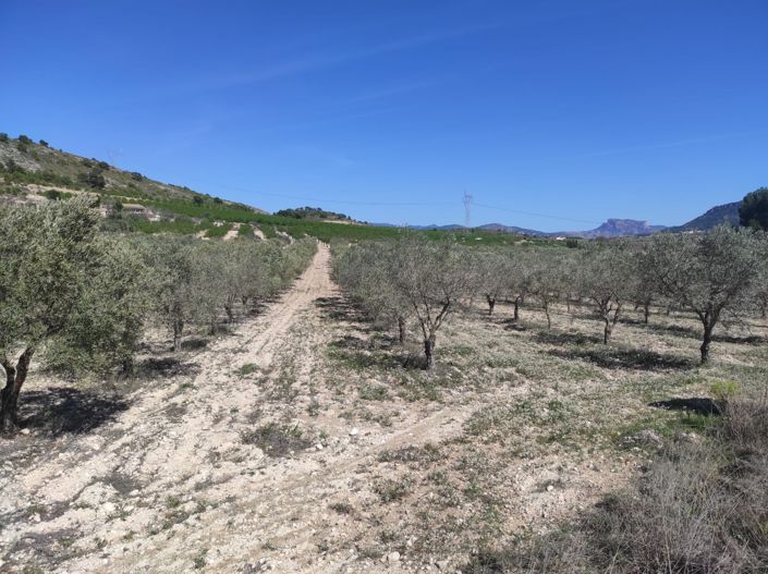Image No.2-Terre à vendre à Salinas