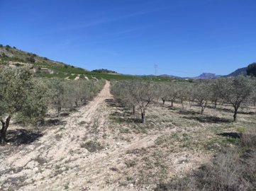 o1g02eia5n6ia1rkhjgk1hcnobs1m