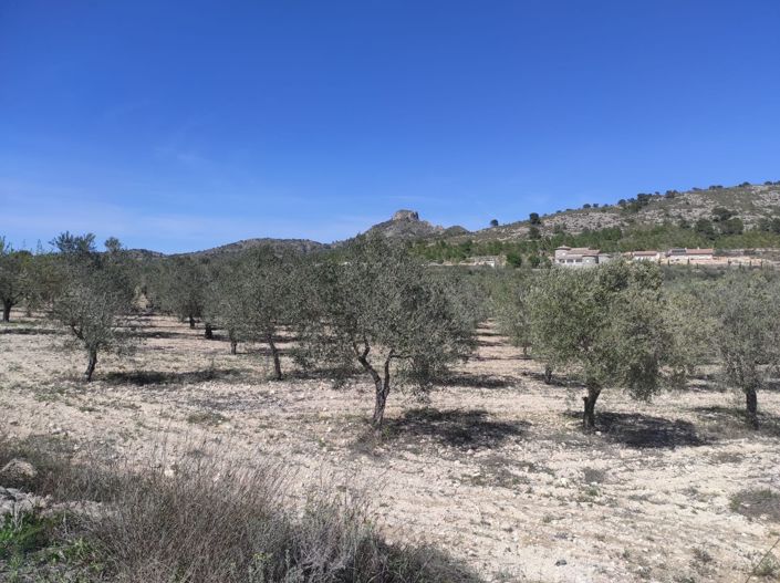 Image No.3-Terre à vendre à Salinas