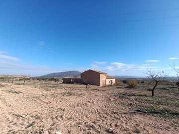 d699709771cf36699709771cf85