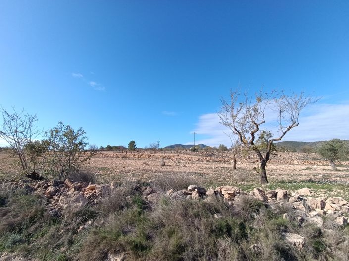 Image No.10-2 Bed Property for sale