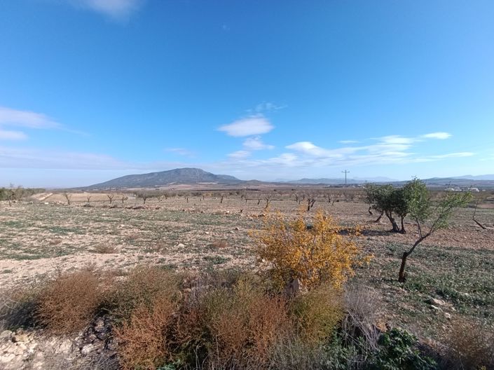 Image No.13-2 Bed Property for sale