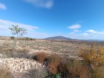 d699709772c283699709772c2cf