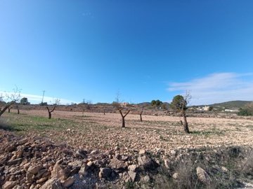 d6997097719e5f6997097719ead