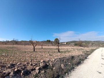 d6997097716c226997097716c6e