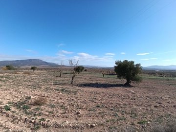 d6997097721f6d6997097721fb8