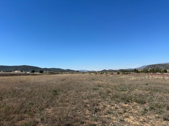 Image No.6-Terre à vendre à Monóvar