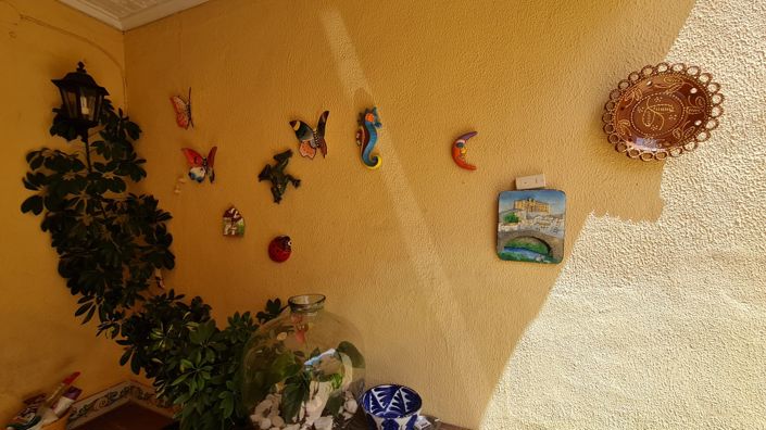 Image No.23-8 Bed Country House for sale