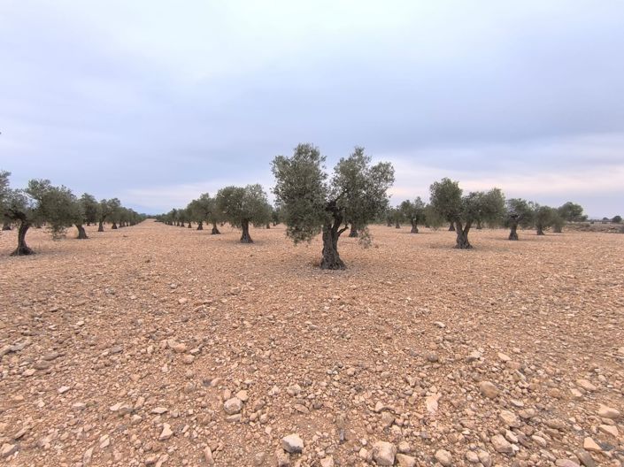 Image No.2-Land for sale