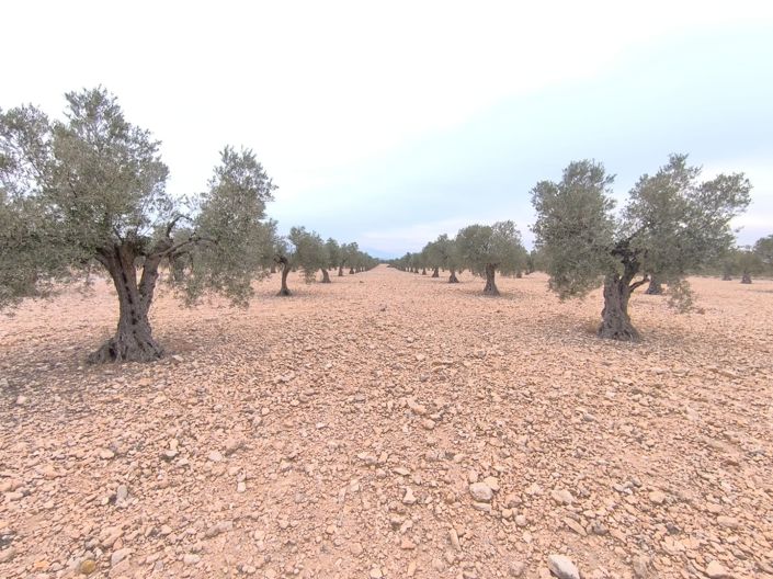 Image No.5-Land for sale