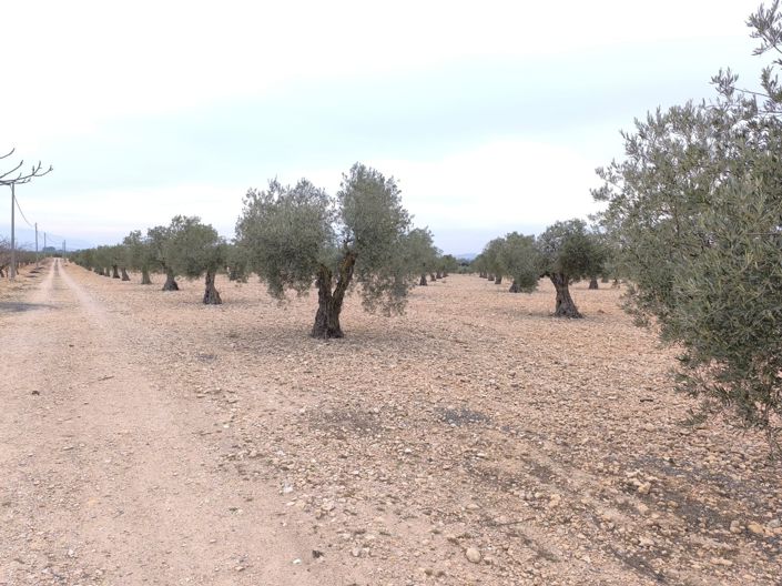 Image No.6-Land for sale