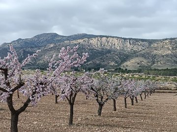 o1jj29r1i91jo2bpk1ghf151oai81e