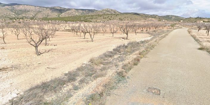 Image No.5-Terre à vendre à Jumilla