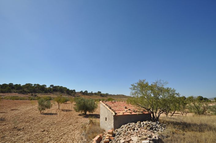 Image No.3-Terre à vendre à Torre del Rico