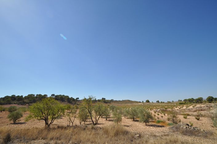 Image No.4-Terre à vendre à Torre del Rico