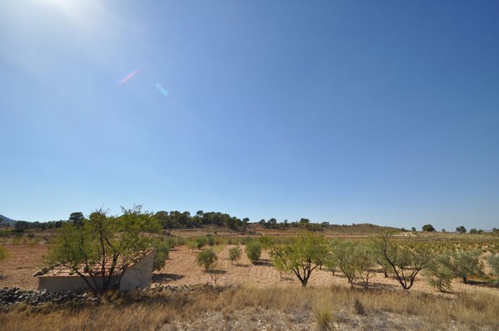 Image No.5-Land for sale