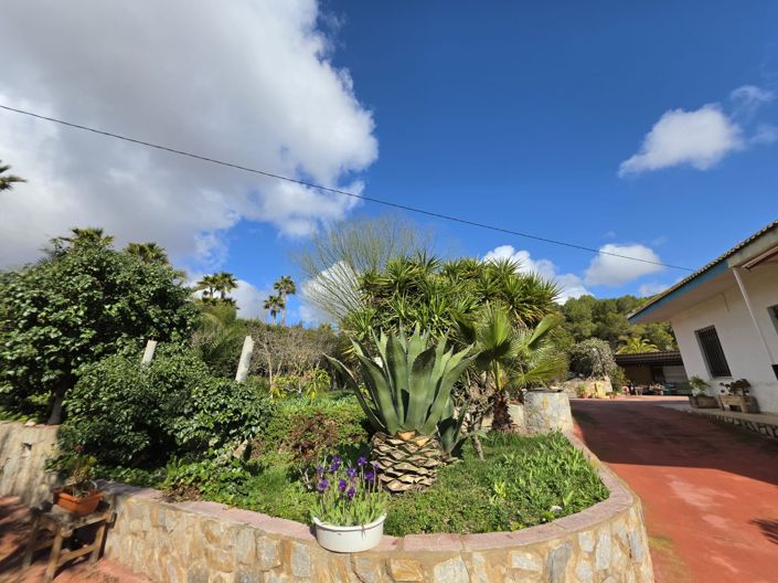 Image No.40-Villa de 6 chambres à vendre à Elda