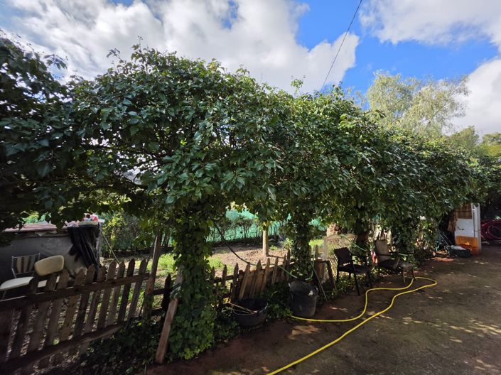 Image No.44-Villa de 6 chambres à vendre à Elda