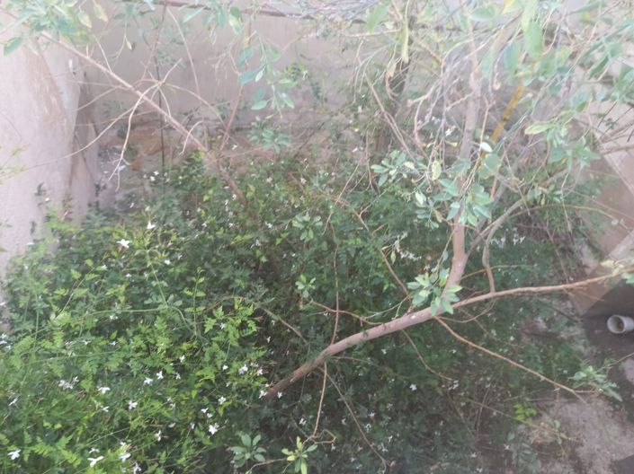 Image No.31-Maison de ville de 5 chambres à vendre à Canada de la Lena