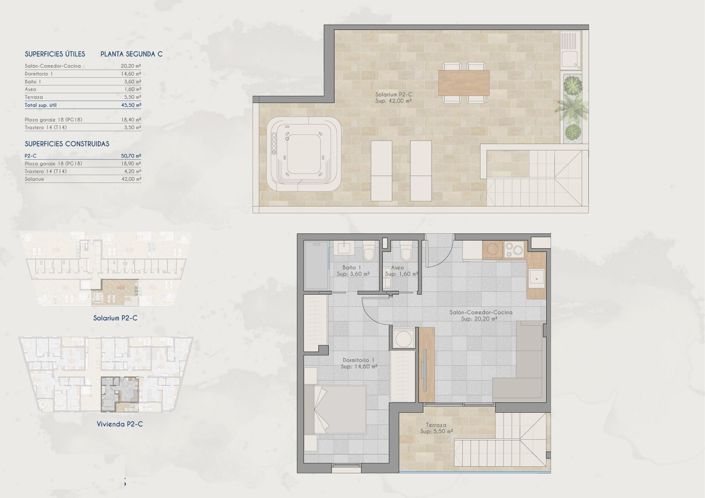 Image No.11-1 Bed Penthouse for sale