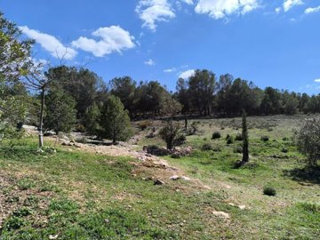 o1jjpk2sse1cnbdd3tkc6krcjj36