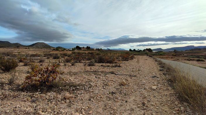 Image No.12-Terre à vendre à Monóvar